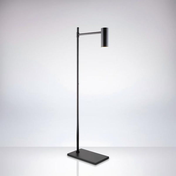 Simple black metal Led Floor Lamp